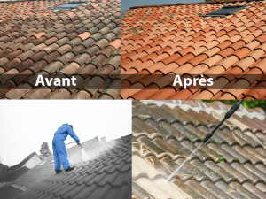 Photo de galerie - Traitement et nettoyage de toiture