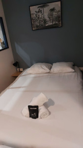 Photo de galerie - Ménage rbnb