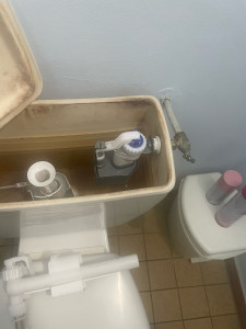 Photo de galerie - Changement complet