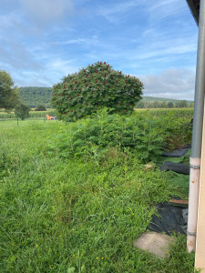 Photo de galerie - Avant 