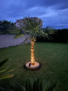 Photo de galerie - Entretien jardin