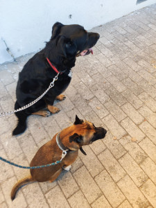 Photo de galerie - Sanka et son papa de cœur 