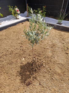 Photo de galerie - Paysagiste - Aménagement du jardin