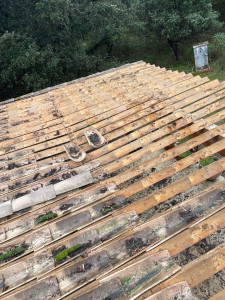 Photo de galerie - Dépose de tuiles 