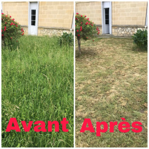Photo de galerie - Tonte de pelouse 