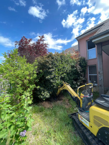 Photo de galerie - Arrachage 