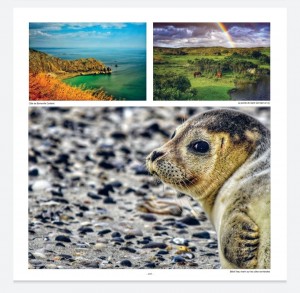Photo de galerie - Photographe