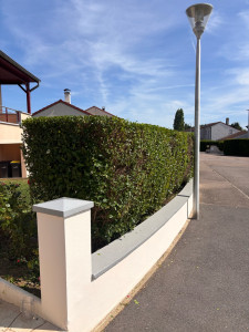 Photo de galerie - Prestation réalisé avec succès 