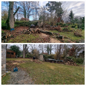 Photo de galerie - Elagage / Debitage