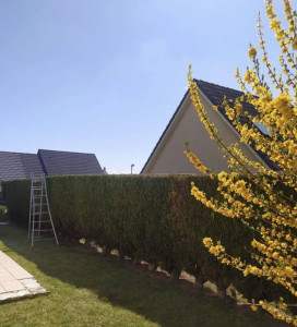 Photo de galerie - Réaliser ce projet