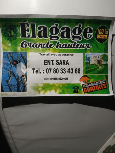 Photo de galerie - Service espace vert an toutes sérénité talle de hai et tante de pelouse et abattage pose de couture nettoyage de portail et volet peinture décapage pignon toiture  avec ́nacelle 