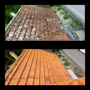 Photo de galerie - Couverture - Toiture