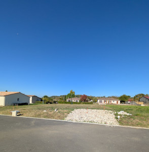 Photo de galerie - Débroussaillage/ Après 