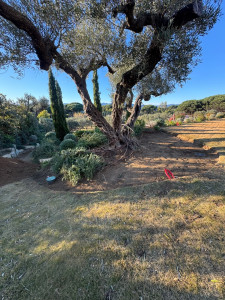Photo de galerie - Paysagiste - Aménagement du jardin