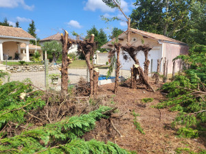 Photo de galerie - Démontage et enlèvements de haies