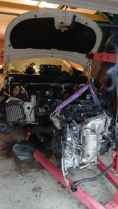 Photo de galerie - 
5008 nouveau moteur 