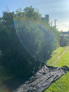 Photo de galerie - Avant 