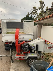 Photo de galerie - Elagage et coupe d'arbres