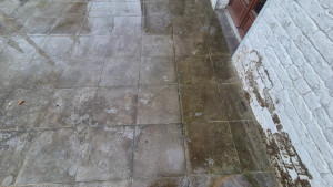 Photo de galerie - Jardinier