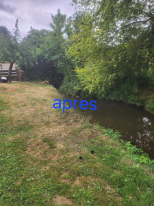 Photo de galerie - Taille de haies et d'arbustes