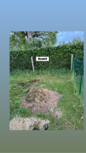 Photo de galerie - Débroussaillage 