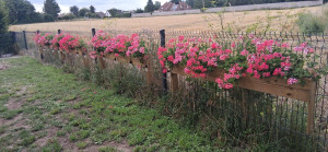 Photo de galerie - Jardiniere fais maison avec bois de recup