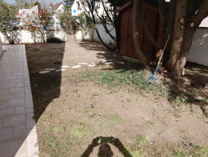 Photo de galerie - évaluation et nettoyage des végétaux en fin de chantier 