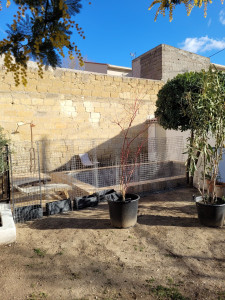 Photo de galerie - Paysagiste - Aménagement du jardin
