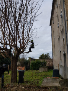 Photo de galerie - Dégagement de façade.