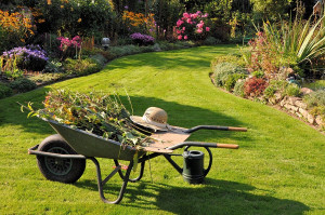 Photo de galerie - Première tonte de printemps et rafraîchissement des plantations extérieurs 