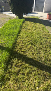 Photo de galerie - Avant —> après 