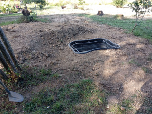 Photo de galerie - Création d'une petite butte et pose d'un bassin 