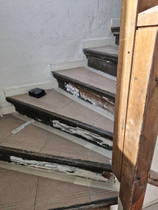 Photo de galerie - Peinture - Tapisserie