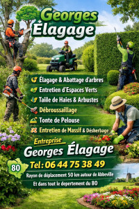 Photo de galerie - #jardinier- taille de haies-élagage-abattage d'arbres-entretien d'espace vert N'hésitez pas
devis et déplacement gratuit 