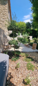 Photo de galerie - Taille de buis boule. 