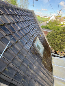 Photo de galerie - Démoussage dalep 2100  sur tuile 