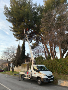 Photo de galerie - Je vous présente mon dernier chantier abattage d’un pin de 25m avec nacelle 