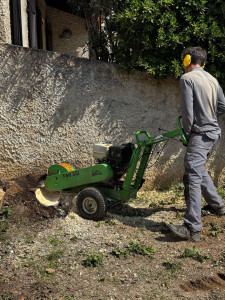 Photo de galerie - Paysagiste - Aménagement du jardin