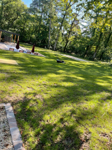 Photo de galerie - Tonte