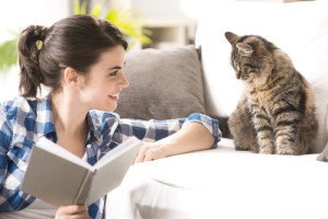 Photo de galerie - Garde chat 