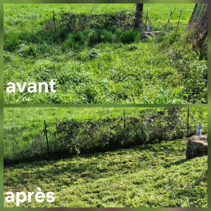 Photo de galerie - Remise en état d'un terrain difficile (humide car étang avec débordement dans le bas du terrain)