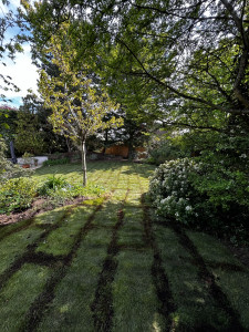 Photo de galerie - Pose de gazon de placage ou semis