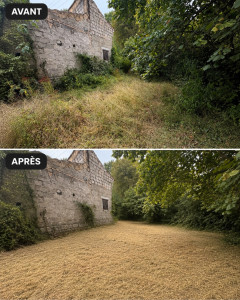Photo de galerie - Avant après 