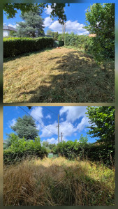 Photo de galerie - Débroussaillage