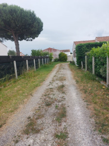 Photo de galerie - Jardinier