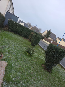 Photo de galerie - Taille de haie de 5mettre lineaire et de buisson 