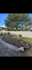 Photo de galerie - Paysagiste - Aménagement du jardin