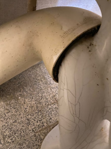 Photo de galerie - Remplacements de XV