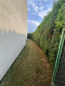Photo de galerie - Après tonte 