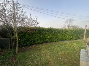 Photo de galerie - Paysagiste - Aménagement du jardin